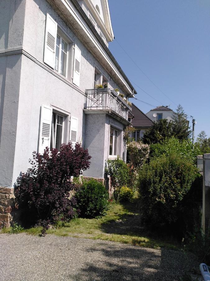 La Chambre De La Maison Bleue コルマール エクステリア 写真
